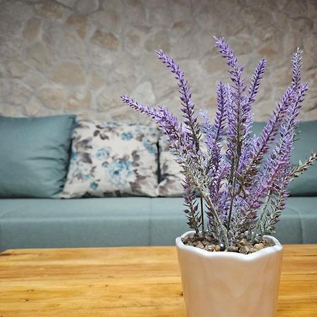Dalmatia Rustica comfortable one bedroom+fireplace Zadar Exterior foto