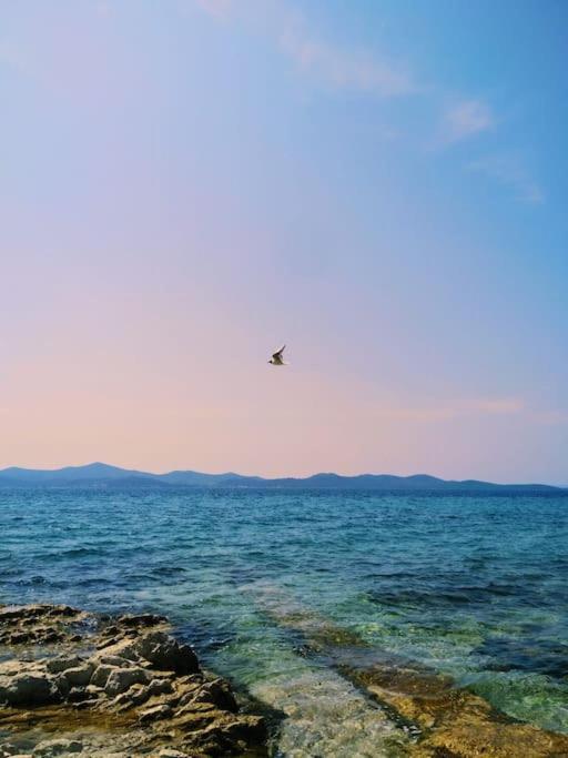 Dalmatia Rustica comfortable one bedroom+fireplace Zadar Exterior foto